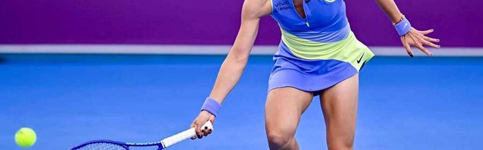 开云-郑钦文名字被印第安维尔斯宣传片读成王曦雨，引国外球迷热议|球员|发音|官方|大满贯|赛事_新浪体育_新浪新闻